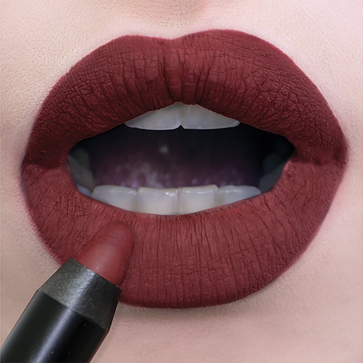 lip makeup with  Magnetic Matte Lip Color in shade vino