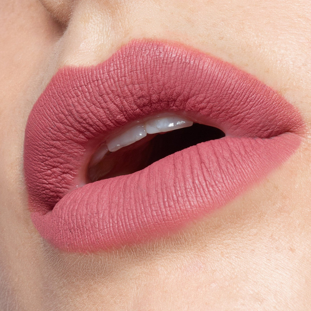 lip makeup with  Magnetic Matte Lip Color in shade rose