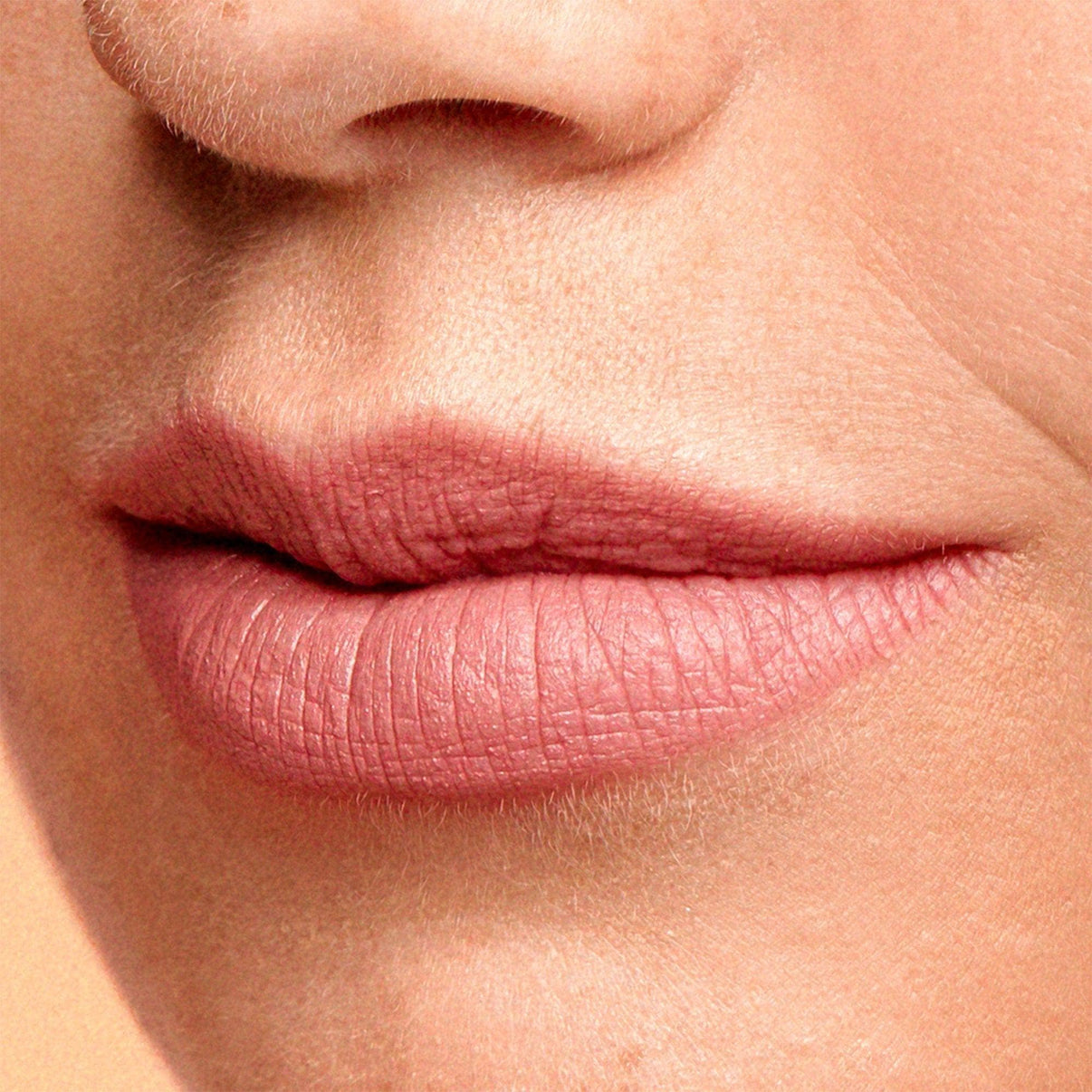 lip makeup with Magnetic Plush Paints in shade waikiki rose