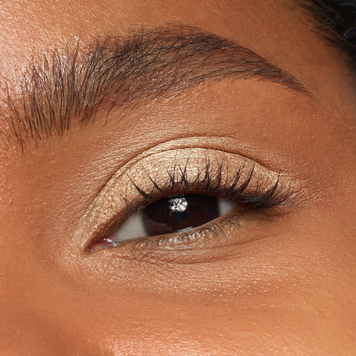 Eye wearing Magnetic Eye Color in shade Gilt-47