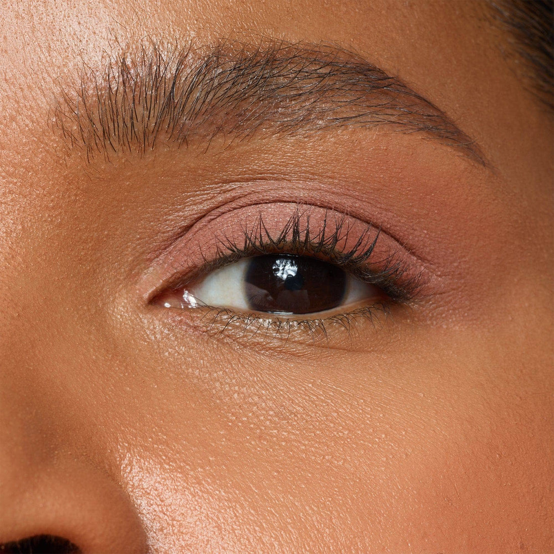 Eye Color Fig Nudestix